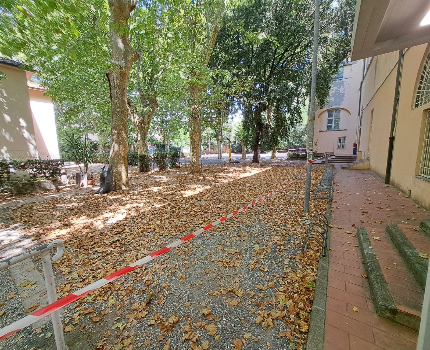 immagine notizia Intervento di sistemazione delle aree alberate del complesso Gherardesca. Tornano pienamente fruibili  tutte le aree del parco